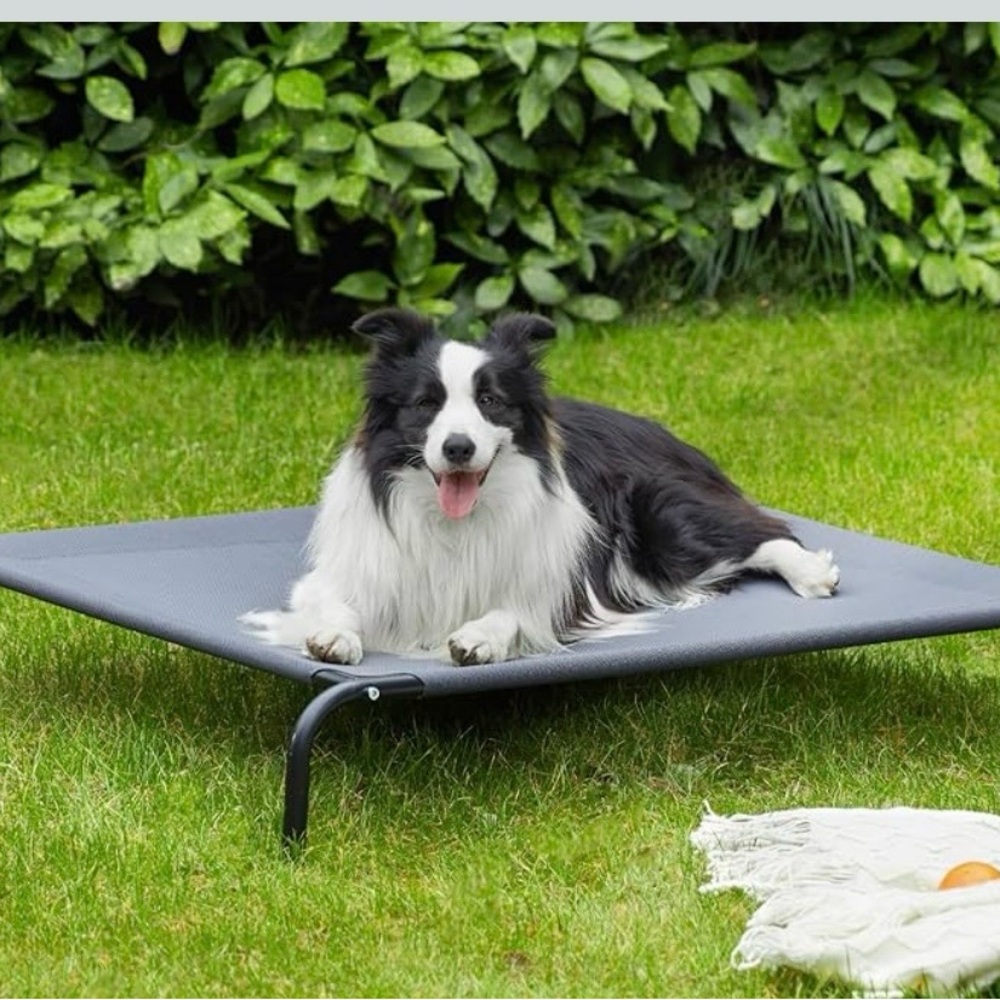 Love's Cabin Elevated Dog Bed - Grey - Picture 4 of 4